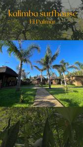 eine Collage aus zwei Bildern einer Palme in der Unterkunft Tropical bungalow suite in El Palmar