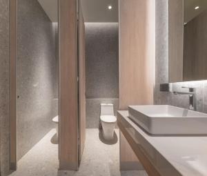 Bang SuMatini Hostel grandstation的带水槽和马桶的浴室