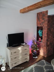a living room with a fireplace with a television and a christmas tree at Nocleg u Marysi in Iwonicz-Zdrój
