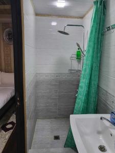un bagno con doccia e lavandino di SHAHNOZA GRAND a Samarkand Altre 31 foto