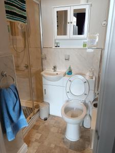 a small bathroom with a toilet and a sink at Lawnswood Guest House in Torquay