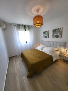 ein Schlafzimmer mit einem großen Bett in einem Zimmer in der Unterkunft Le dodo bleu in Saint-Pierre