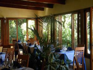 a dining room with tables and a potted plant at Hotel Rosa Del Tirreno in Quercianella