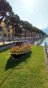 a planter filled with red flowers next to the water at Casa Lella in Domaso