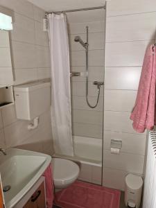 a bathroom with a shower with a toilet and a sink at Apartment Alpenblick in Saas-Grund