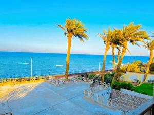 a view of the ocean with palm trees and benches at Moon house n.30 in Dahab