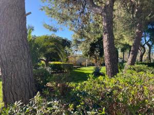 a park with trees and green grass and bushes at Villa Margherita in Lecce