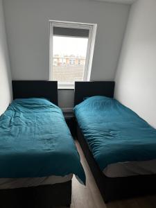 two beds in a room with a window at Da Costa 12B in Leiden