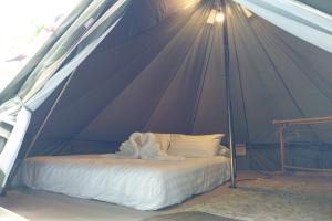 Ban Tha Sai的住宿－It my life cafe x camp，帐篷内一间卧室,配有一张床