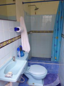 y baño con aseo, lavabo y ducha. en Hospedaje Punta Hermosa, en Punta Hermosa