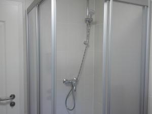 a shower in a bathroom with a glass door at Unseburger Brauhaus GmbH Ferienwohnung 3 in Unseburg +33 photos