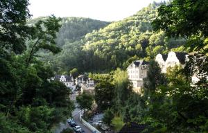 - une vue sur une ville située dans une vallée avec des arbres dans l'établissement Haus Alleegarten, à Bad Bertrich