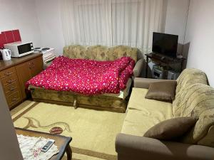 een woonkamer met een bank en een rode deken bij Apartman Delfin in Grahovište