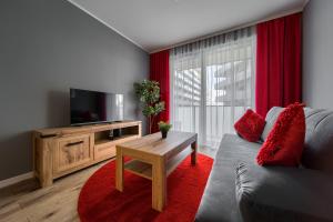 salon z kanapą i telewizorem w obiekcie Central Park Red Apartment we Wrocławiu
