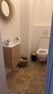 ein Badezimmer mit einem WC, einem Waschbecken und einem Spiegel in der Unterkunft Villa Hélène in Malaucène