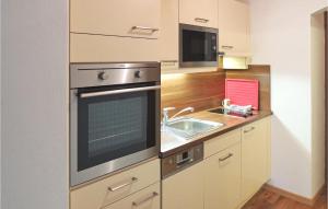kuchnia z piekarnikiem ze stali nierdzewnej i zlewozmywakiem w obiekcie Gemuetliche Ferienwohnung w mieście Flachau