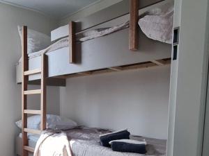 1 Schlafzimmer mit 2 Etagenbetten in einem Zimmer in der Unterkunft Camping de Brem in Renesse