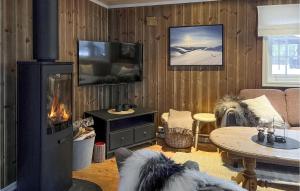 Televisyen dan/atau pusat hiburan di Gorgeous Home In Bjorli With Wifi