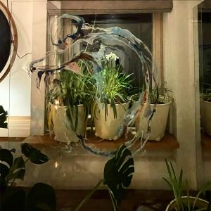 a group of potted plants sitting on a shelf at Matilda's lovely 2-bedroom house in Vilnius