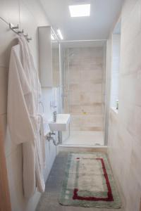 a bathroom with a shower and a sink at Privatpension zur Schwarzach in Greding