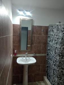 een badkamer met een wastafel en een spiegel en een douche bij EL RANCHO DE PIA in Merlo