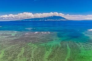 Příroda nedaleko hotelu