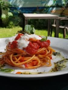 a plate of spaghetti with meat sauce and cheese at Jardín del Coco in Las Galeras