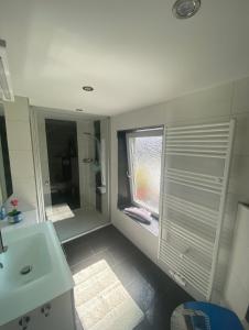 a bathroom with a shower and a sink and a mirror at Ferienwohnung *** LANDLIEBE *** mit großem Garten in Dummerstorf