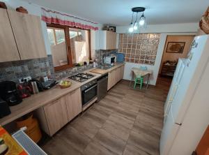Kuchyň nebo kuchyňský kout v ubytování Poiana Sașilor - Valea Doftanei