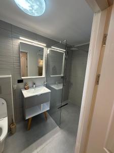 a bathroom with a sink and a shower and a toilet at Black Wolf PĂLTINIȘ in Păltiniş +46 photos