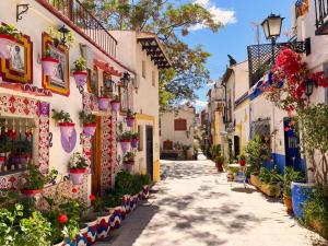 a street in an old town with potted plants at Luceros 310 New in Alicante