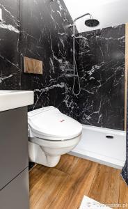 a bathroom with a toilet and a black marble wall at Domki na wodzie - Apartament Fregata Gdańsk - Stare Miasto flota Possession pl in Gdańsk