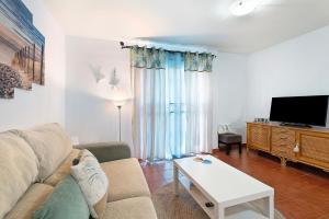 a living room with a couch and a tv at Apartamento Coral in La Jaca