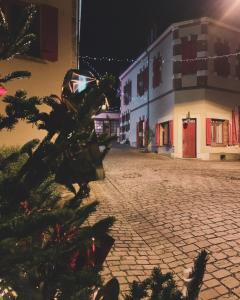 a christmas tree on a cobblestone street at night at Maison Jeanne d’Arc in Mennetou-sur-Cher