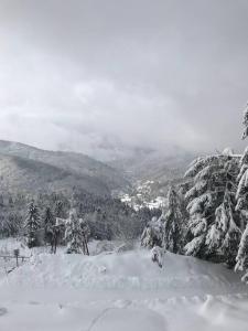 een met sneeuw bedekte berg met een stad in de verte bij Cozy House in Cavnic, Maramures in Cavnic