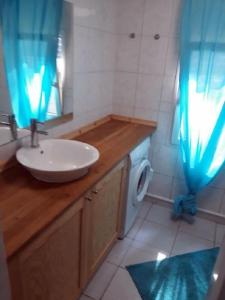 ein Badezimmer mit einem Waschbecken und einer Waschmaschine in der Unterkunft Ferienhaus im Odertal in Stolpe
