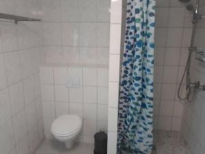 ein Bad mit einem WC und einem Duschvorhang in der Unterkunft Ferienhaus im Odertal in Stolpe