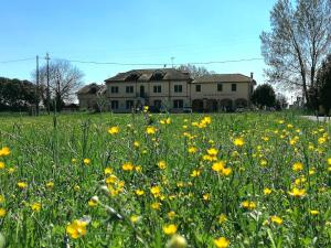 ein Feld gelber Blumen vor einem Haus in der Unterkunft Hotel Locanda del Passo Pomposa in Pomposa