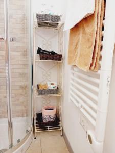 bagno con doccia e cabina armadio di B&B La Delice a Dalmine