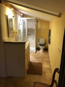 a bathroom with a toilet and a sink and a shower at Chambres d'hôtes - Le Mas du Colombeyras in Espeluche