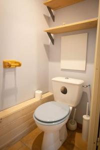 a bathroom with a white toilet in a room at Le jardin de Christine in Saint-Martin-dʼHères +22 photos