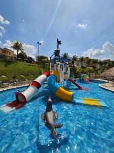 un parque acuático con un delfín en el agua en Vinhedo Plaza Hotel, en Vinhedo