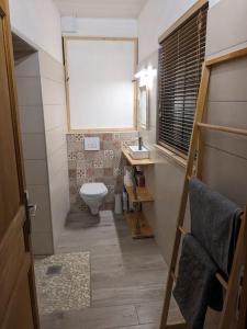 małą łazienkę z toaletą i umywalką w obiekcie Appartement 1 chambre, 55m2 - Maison de Village de charme 17eme Siecle - Garrigue Héraultaise w mieście Argelliers