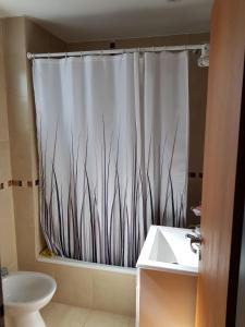een badkamer met een douchegordijn, een toilet en een wastafel bij Terracota in Colón