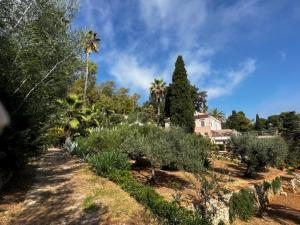 un jardin avec des arbres et des buissons ainsi qu'une maison dans l'établissement Villa delle Palme - Goelba, à Capo D'Arco
