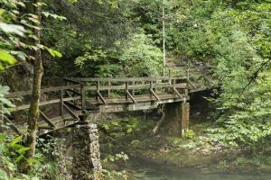 a wooden bridge over a river in a forest at Camping Sretanwolf in Bosiljevo