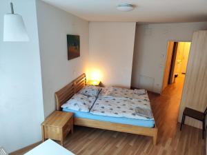 Un dormitorio con una cama y una mesa. en Hostel&ApartServices Vienna en Viena