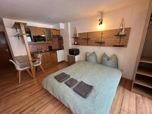 Köök või kööginurk majutusasutuses Studio Bellevue 1, ski lift 350m