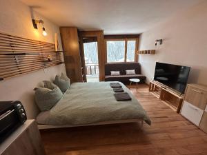 1 dormitorio con 1 cama grande y TV en Studio Bellevue 1, ski lift 350m, en Zinal