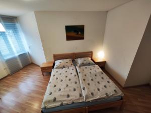 1 dormitorio con 2 camas en una habitación en Hostel&ApartServices Vienna en Viena